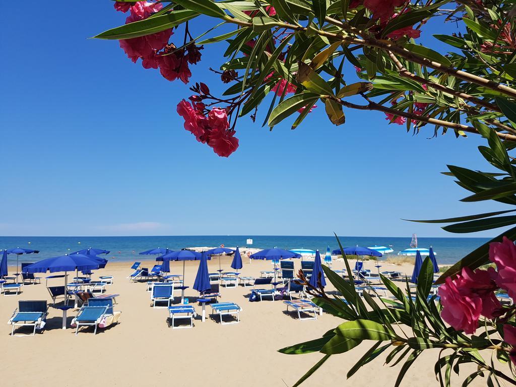 Hotel Gabbiano Beach Vieste Exterior photo